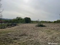 Teren intravilan -KM 7, Resita 5265mp