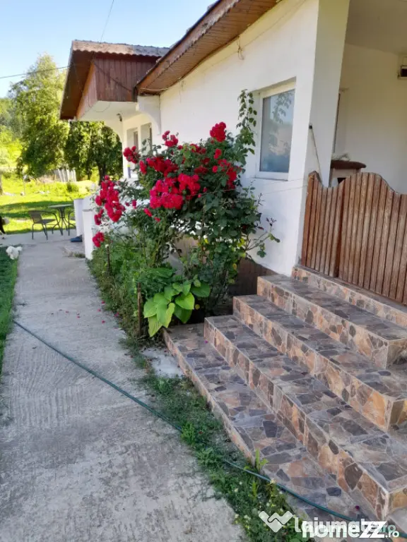 Casă renovată complet, 1800 mp teren, zonă liniștită î