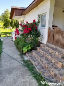 Casă renovată complet, 1800 mp teren, zonă liniștită î