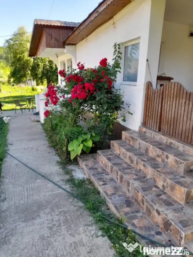 Casă renovată complet, 1800 mp teren, zonă liniștită î
