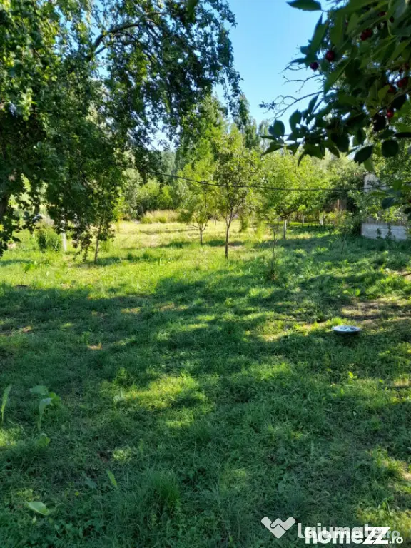 Casă renovată complet, 1800 mp teren, zonă liniștită î