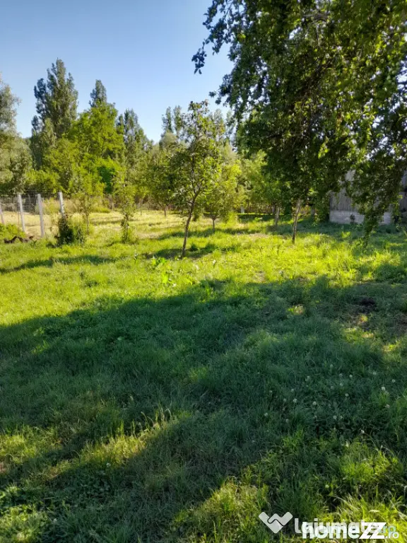 Casă renovată complet, 1800 mp teren, zonă liniștită î