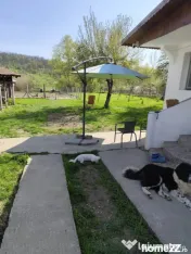 Casă renovată complet, 1800 mp teren, zonă liniștită î 