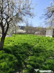 Casă renovată complet, 1800 mp teren, zonă liniștită î 