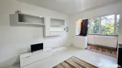 LUCREȚIU PĂTRAȘCANU – COSTIN GEORGIAN, GARSONIERĂ M...