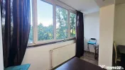LUCREȚIU PĂTRAȘCANU – COSTIN GEORGIAN, GARSONIERĂ M...