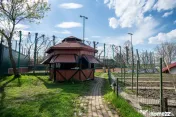 Vilă pe malul lacului, 3.000 mp, 4 corpuri, Piscină, te... 