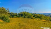 Teren Holbav - Holbav 6.014 mp Extravilan 