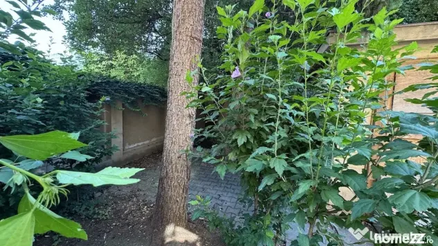 Casa cu teren 363 mp Agronomie - Domenii