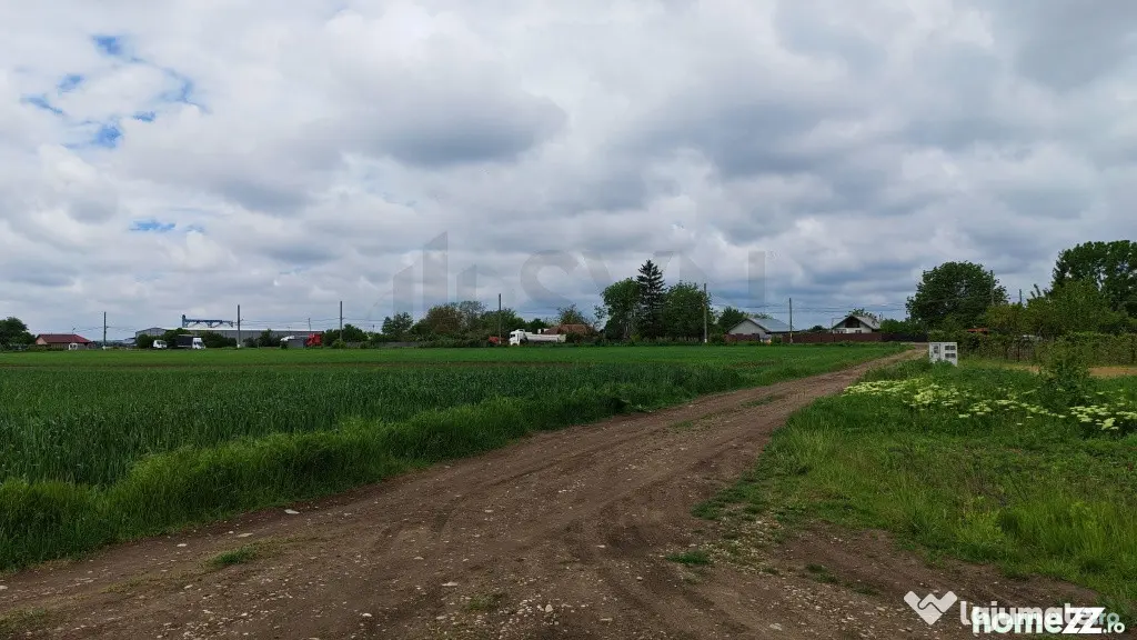 Teren Intravilan - Dascalu - Gagu - Dascalu (Bucuresti-Ilfov)
