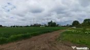 Teren Intravilan - Dascalu - Gagu