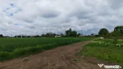 Teren Intravilan - Dascalu - Gagu