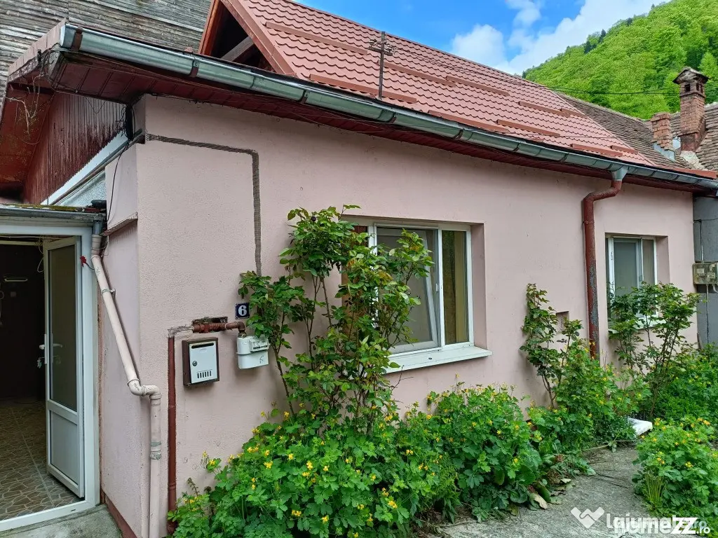 Sinaia Casa 3 camere garaj dependinte