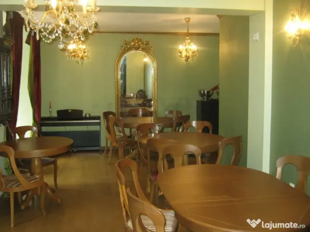 Vila renovata - zona Cismigiu