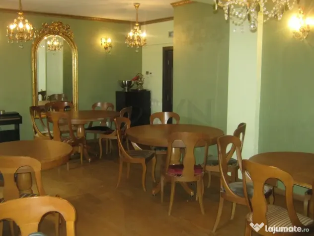 Vila renovata - zona Cismigiu
