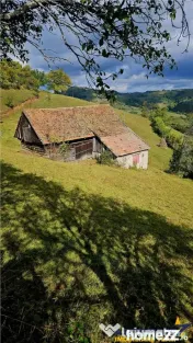 FILM! Cu view panoramic la 360 grade, teren 10.335 mp, Poian 