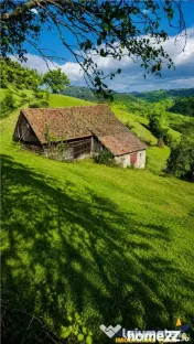 FILM! Cu view panoramic la 360 grade, teren 10.335 mp, Poian 