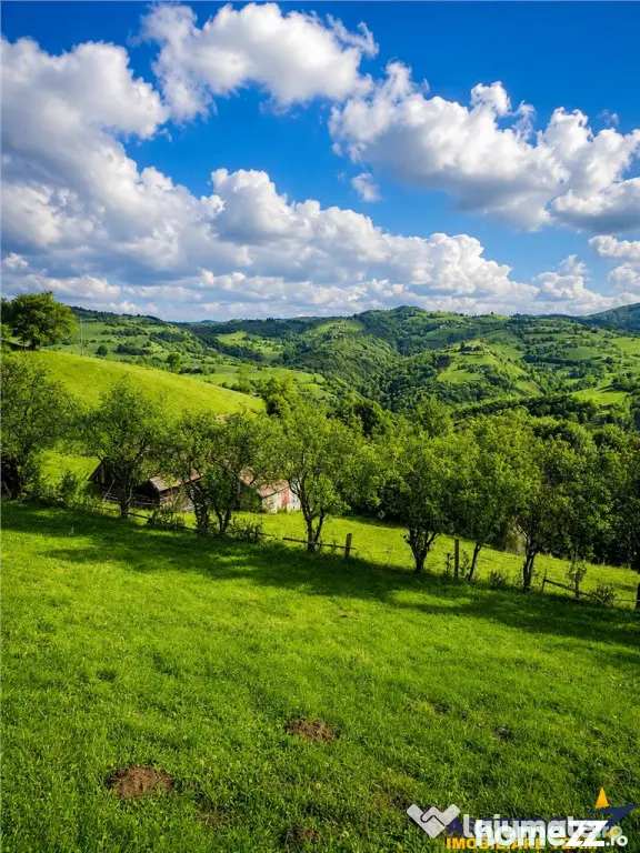 FILM! Cu view panoramic la 360 grade, teren 10.335 mp, Poian