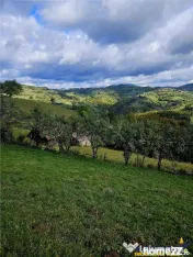 FILM! Cu view panoramic la 360 grade, teren 10.335 mp, Poian 