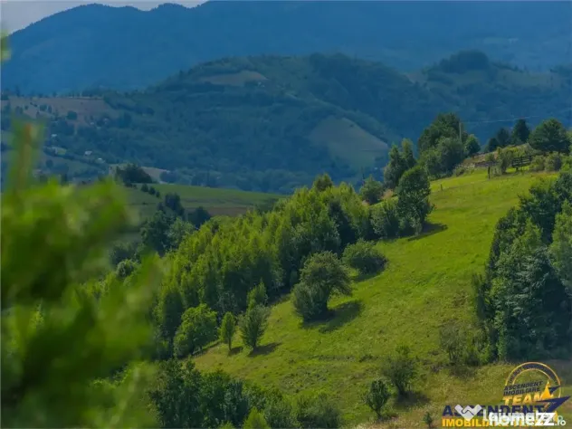 FILM! Cu view panoramic la 360 grade, teren 10.335 mp, Poian