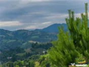 FILM! Cu view panoramic la 360 grade, teren 10.335 mp, Poian 