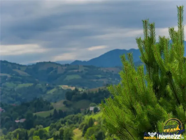 FILM! Cu view panoramic la 360 grade, teren 10.335 mp, Poian
