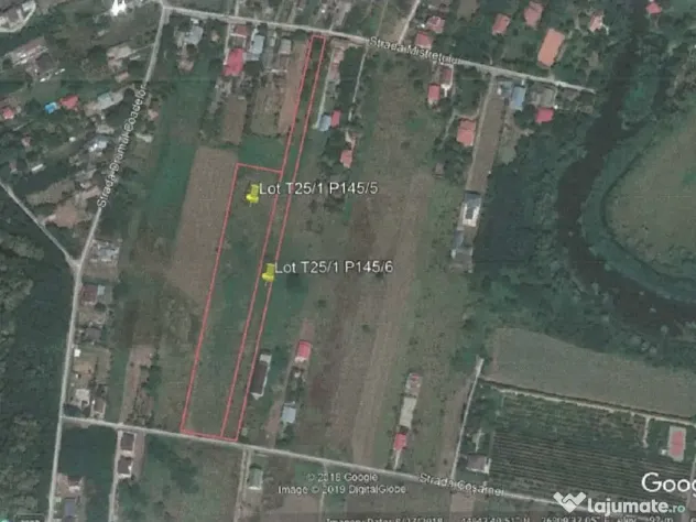 Teren Intravilan 15.840 mp Silistea Snagovului De Vanzare