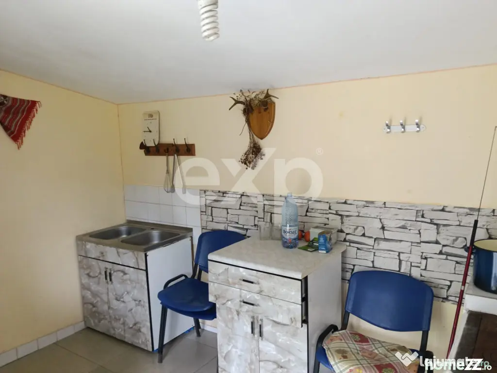 Casă tradițională cu 2029 MP, livadă, puț propriu