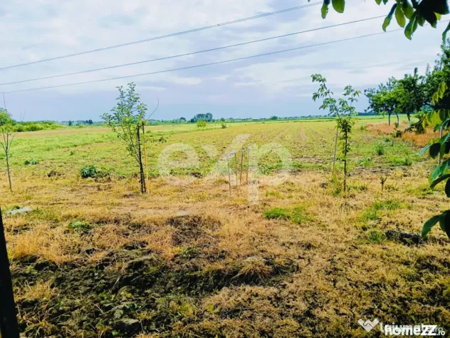 Casă tradițională cu 2029 MP, livadă, puț propriu