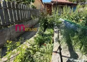 Casa zona Piata Noua , 350 mp 