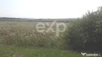 Teren 25000 mp Sercaita , Bv