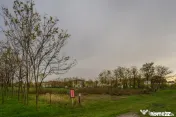 Teren generos la liziera pădurii, conectat rapid cu Nordul 