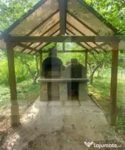 Casa cu teren de 8.570 mp cu iaz si livada I Bacel 