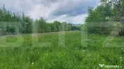 Casa cu teren de 8.570 mp cu iaz si livada I Bacel 