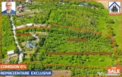 Casa renovata 141mp + Teren 10.000mp | Podenii Vechi - PH