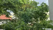DE VANZARE Garsoniera in Cartierul Băneasa