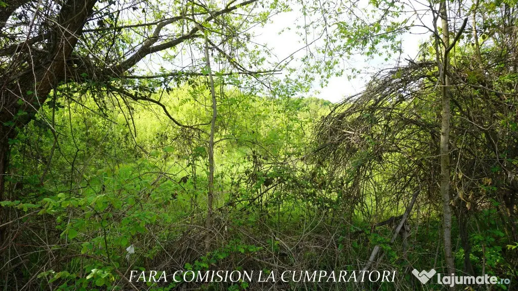 ZONA SUPERBA - TERENURI DE VANZARE