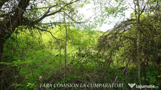 ZONA SUPERBA - TERENURI DE VANZARE