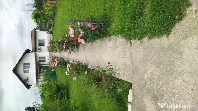Vanzare vilă P+M mobilată Mânăstioara