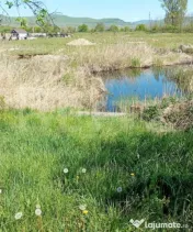 Casă cu teren generos de 1100 mp în Comuna Mică – ideal 