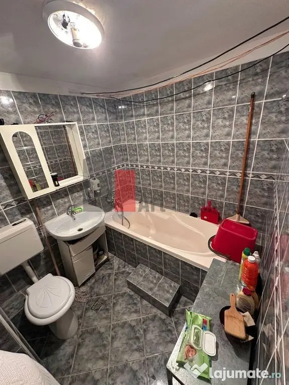 APARTAMENT 2 CAMERE MARGEANULUI- BUZOIENI