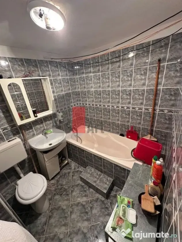 APARTAMENT 2 CAMERE MARGEANULUI- BUZOIENI