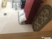 Tineretului timpuri noi vacaresti piscului