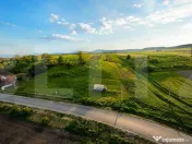 De vanzare teren de 9000mp 