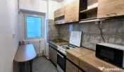 Apartament 1 camera D, in Oancea, 