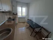 Apartament de inchiriat, 2 camere, 50 mp, zona Garii 