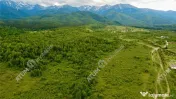 Teren extravilan 2000 mp in Porumbacu de Sus din Sibiu 