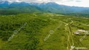 Teren extravilan 2000 mp in Porumbacu de Sus din Sibiu 