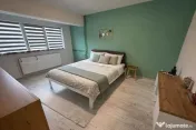 Apartament cu 3 camere decomandat - zona Dacia