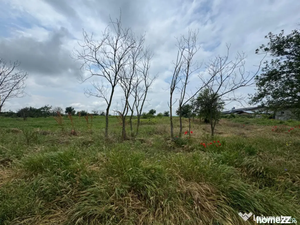 Teren Intravilan– 2.156 mp, zona Preajba